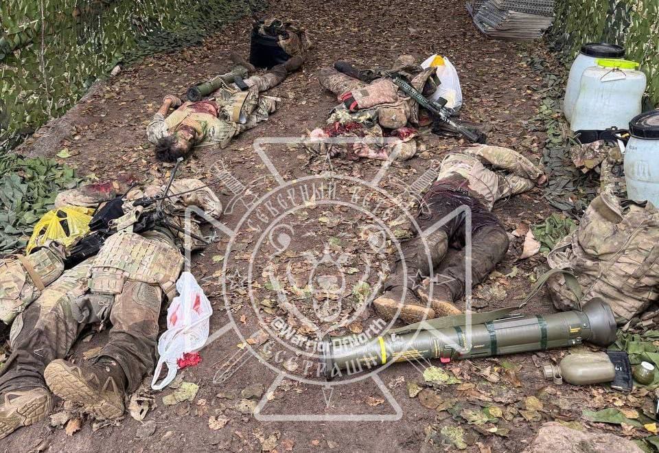 ��������� ���� ����������� ��������� � �������� �������