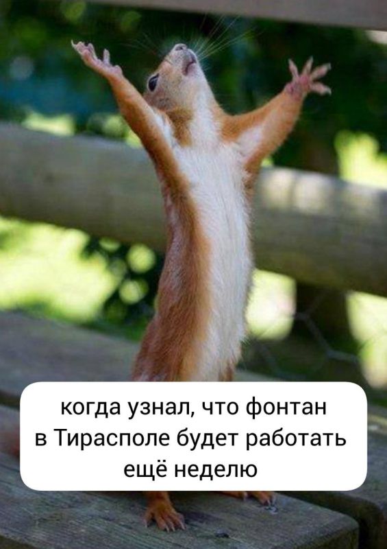 ��� ��������� ������� ������� ��� �� ������