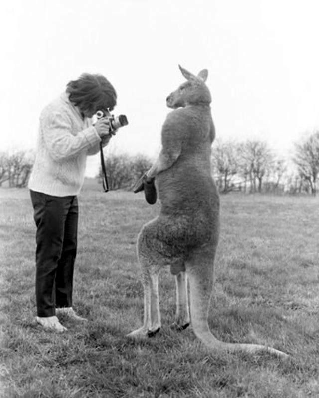 ������-������� ���� �� ����� �����������������