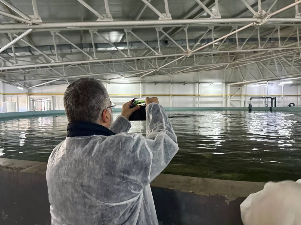 ������ ���� �������� ������� � ��������� �� ���������� ��������� ��������