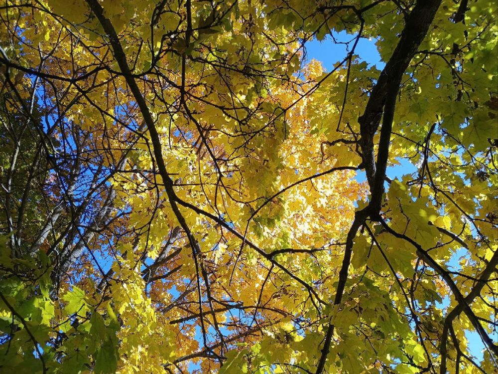 ������� ����� ������� ������ �������������� �� ��������