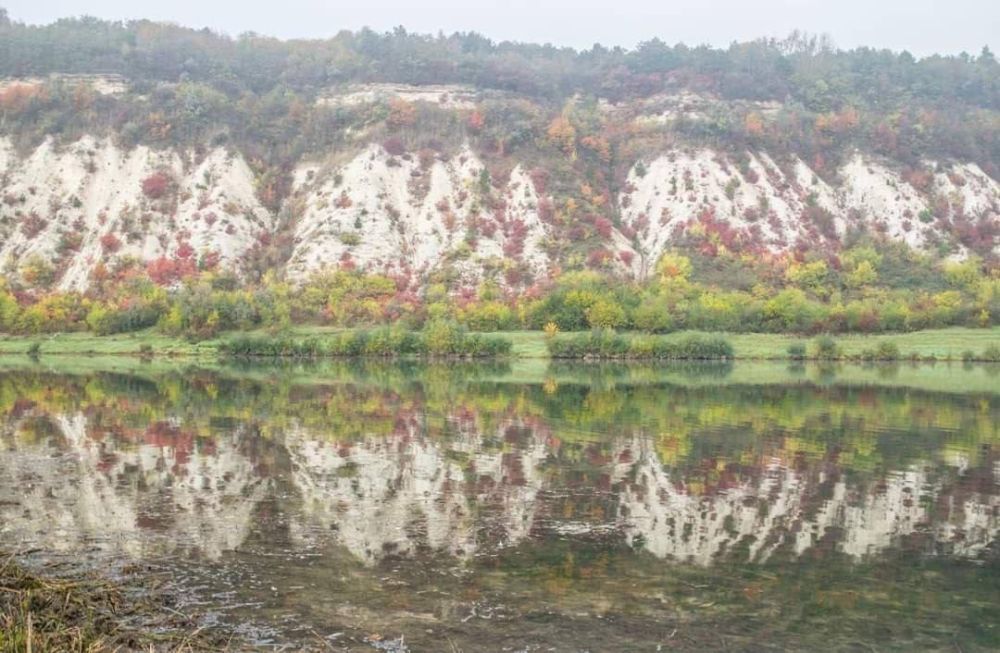 ����������� ������� ������� ���������� ������