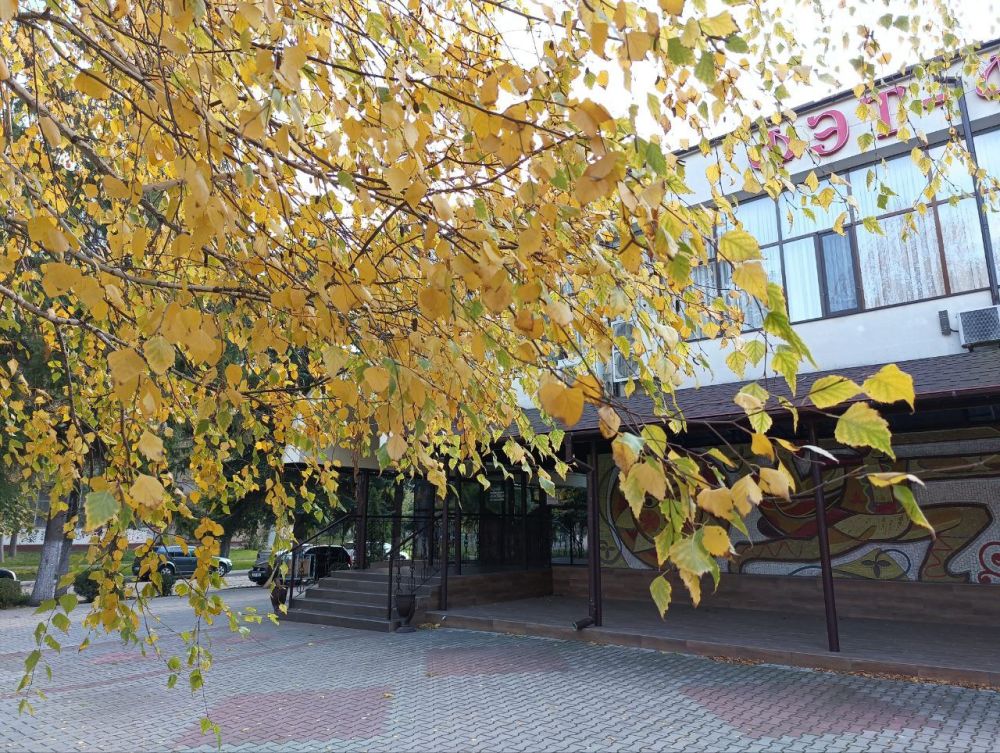 ��������� �����. ������ � ����� ������� �� ���������: ���������� ������ ������ � ���� � ����� ������ � ������� ���