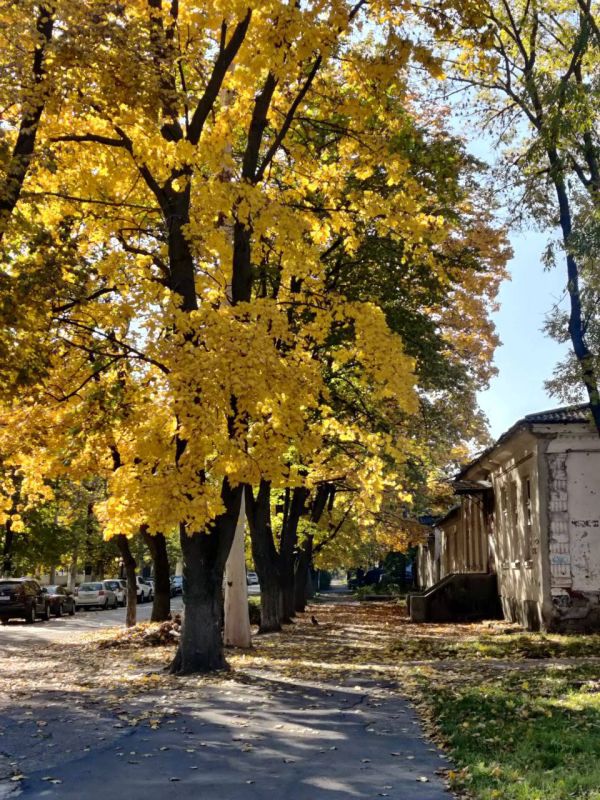 ��� �������� ��������� ����� �� ����� �� � ��, 30 ������� ��������� �������� � ������������ ������, ��������������� �� �������� ������� ����������, ������� ������ �����