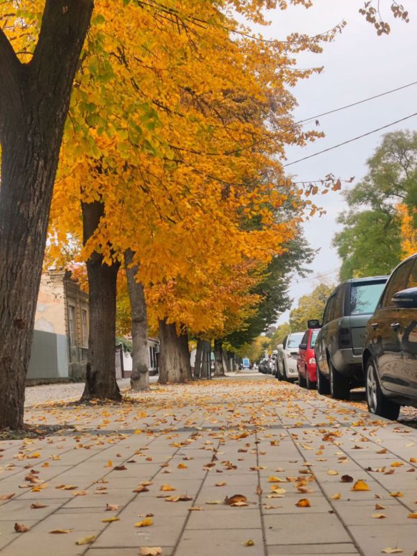 ��� �������� ��������� ����� �� ����� �� � ��, 31 ������� ��������� ���������� ����������, ��� �������