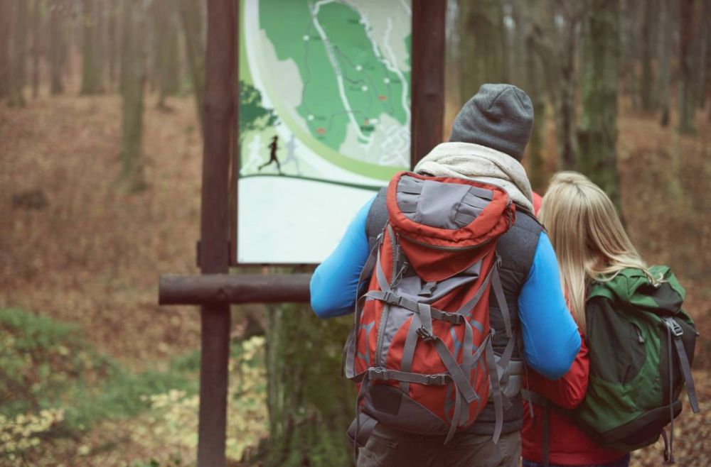 1145 ������� �������� ������ �� ����������� �� �������������