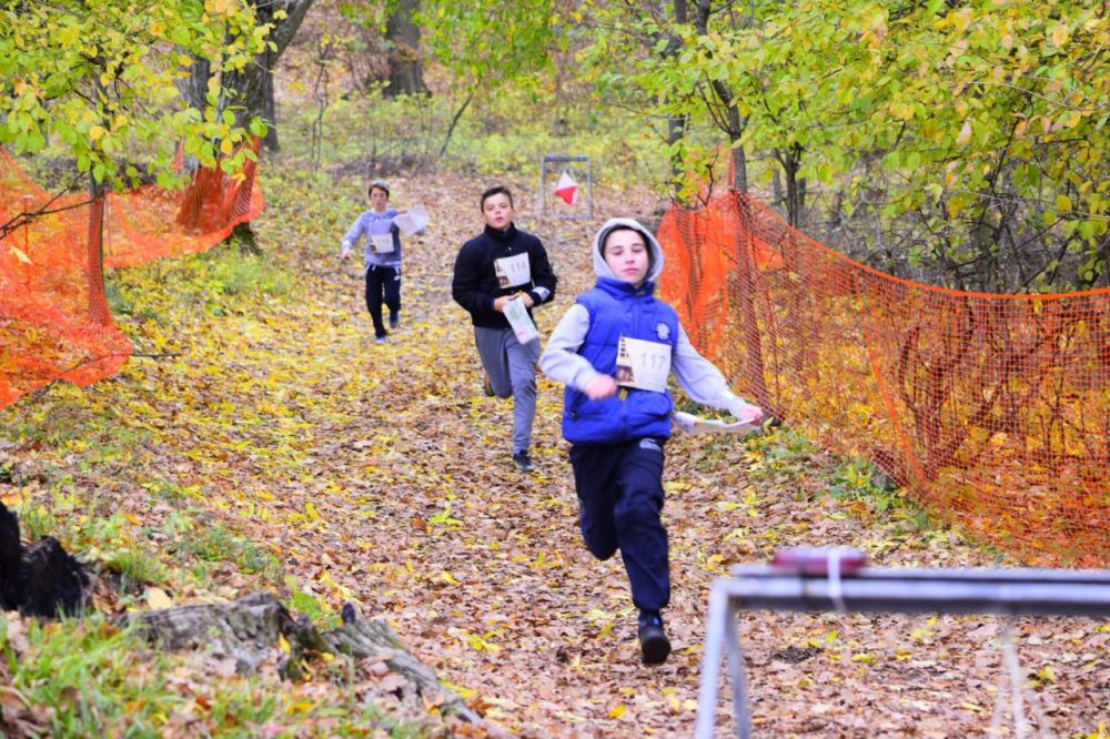 ���������� ��������� �� ����������� �������������� ����� ���������� ����� �������� ����������