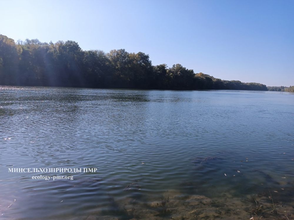 � ������ �� �������� ����������� �������������