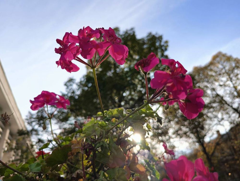 ��� �������� ��������� ����� �� ����� �� � ��, 1 ������ ��������� ���������� ����������, ��� �������