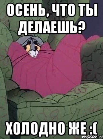 �� 7 �������� ������ ��������� � ����������� �����