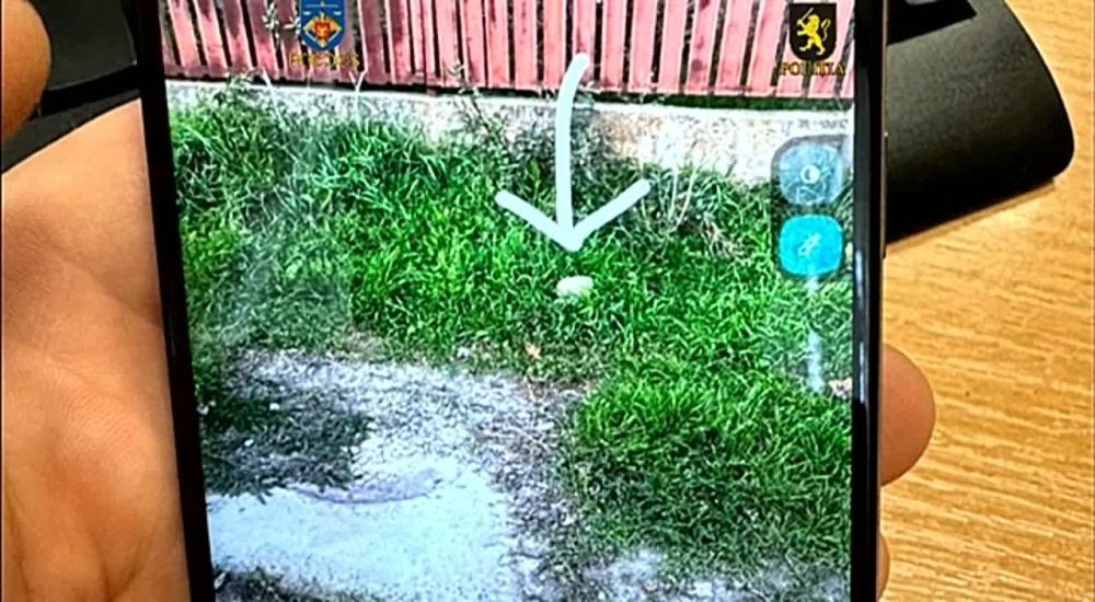 ������� ������� �������� ���������� � ����� ������������ "����������", ������� � �� �� �������� � ������ "������� ������ ���" � ����������� ������