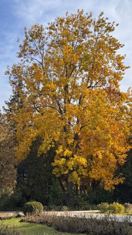 �������� � �����������. ����� ����� ������ �� ��������� ���������: ���� ������ �����, �����, ����� � ������� � ��� ������� � ����� ������. ���������� �������� ��� ���� ������, � ����� �������� ����� �������� �� ����