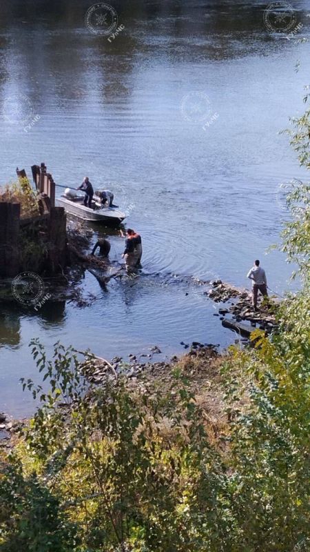 ����� � �����, ������� �������� � ������ ����������� �����, ������