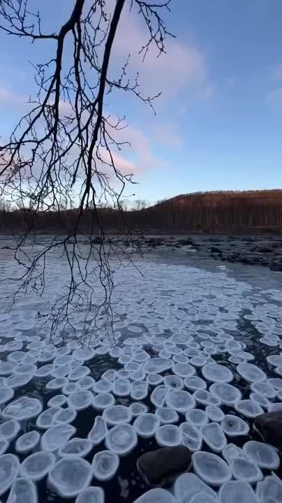 ��������� ������� � ��������� ������ ������� ������ �� ����