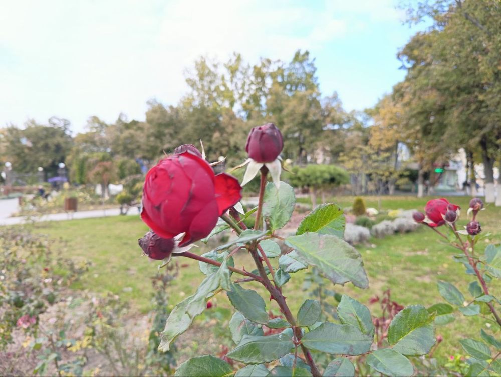 ��� �������� ��������� ����� �� ����� �� � ��, 2 ������ ��������� ���������� ����������, ��� ������������ �������