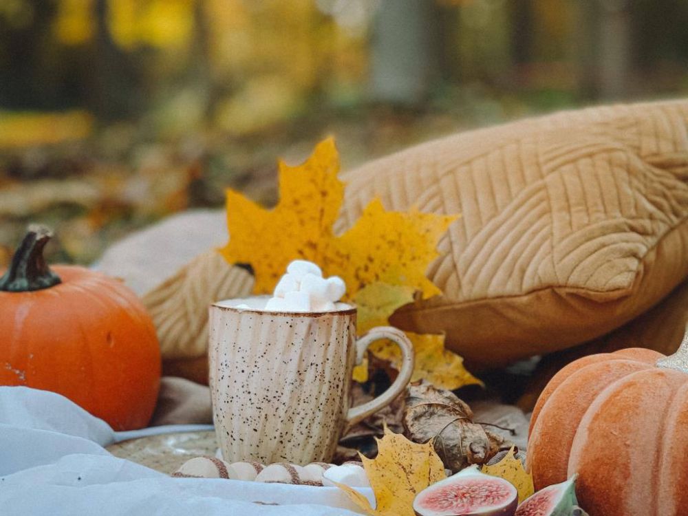 �� ���� ������ ������... ����� ������ �� � �����