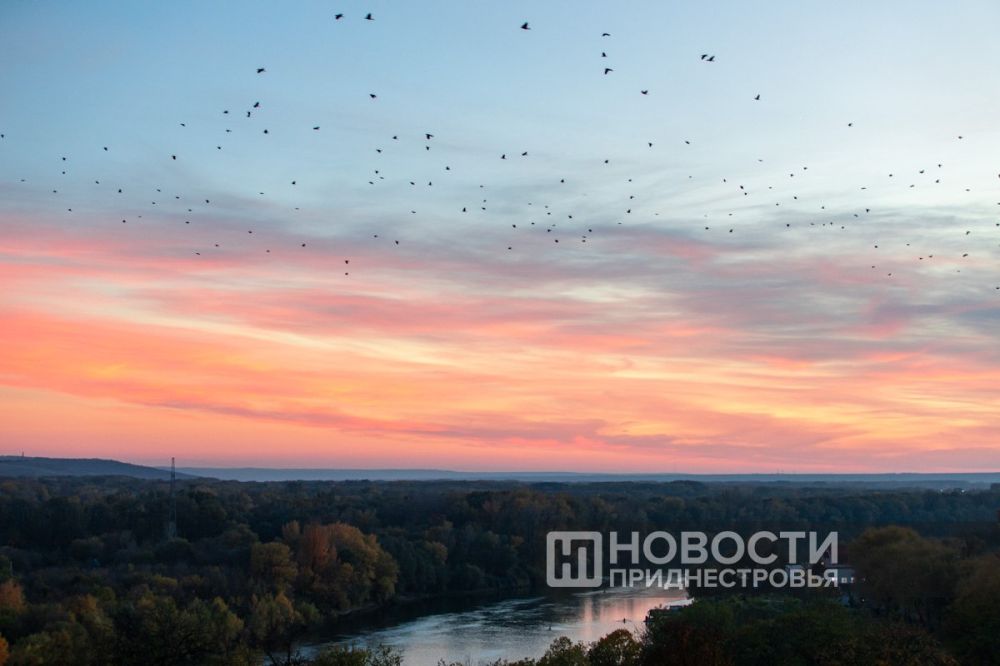 ����� ���������� �������� ��� ������� ��������