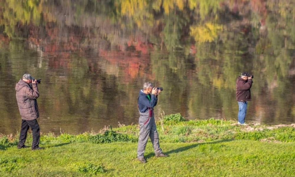 ������� ��������� � ��������� ������