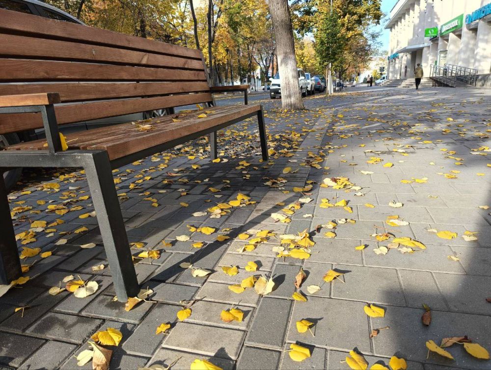 ������ ���� ������ ����� ������