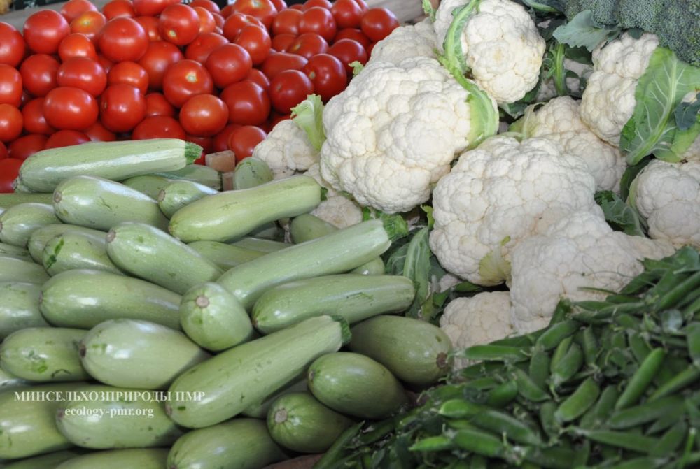 ������ ��������� � ������� �������