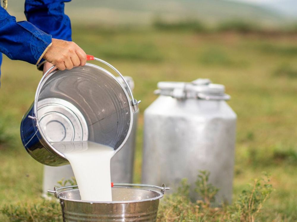 � ������������� ������ �� ����� ������������ ���� �� ������, ������� �������� ����� �� �����������