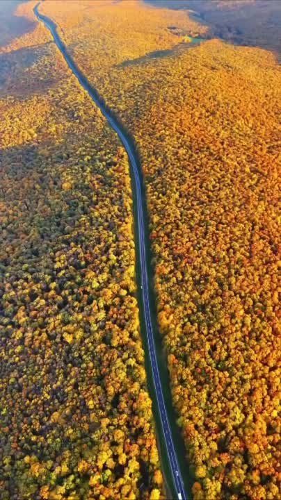 ���������� �����. ������������� �����