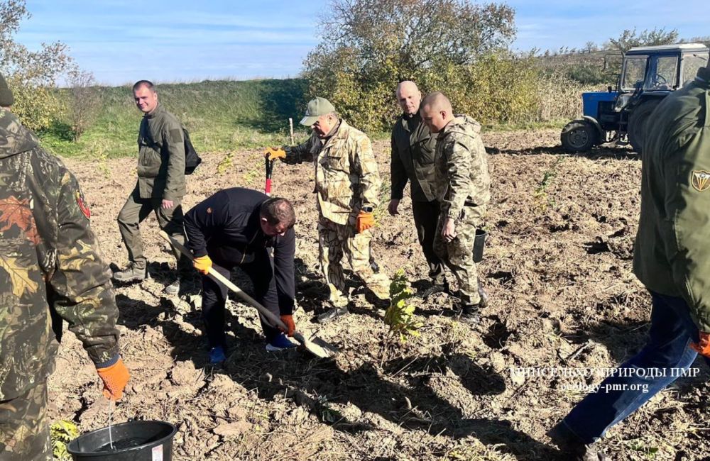 ��������� �������� � ����� ���� ������