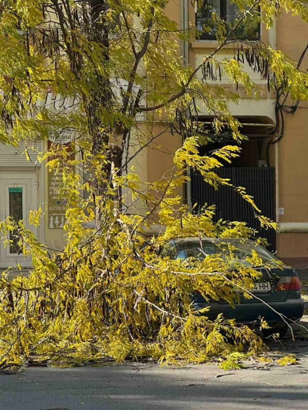 � ������ ��������� �� ����� ��� �������� ����� ��������