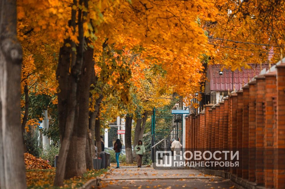 �������������: ������� � ������ � ���������� �������� �����