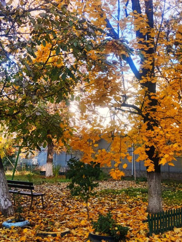 ����� ����������� ������� ������ � ������ � ��������� ������� �����