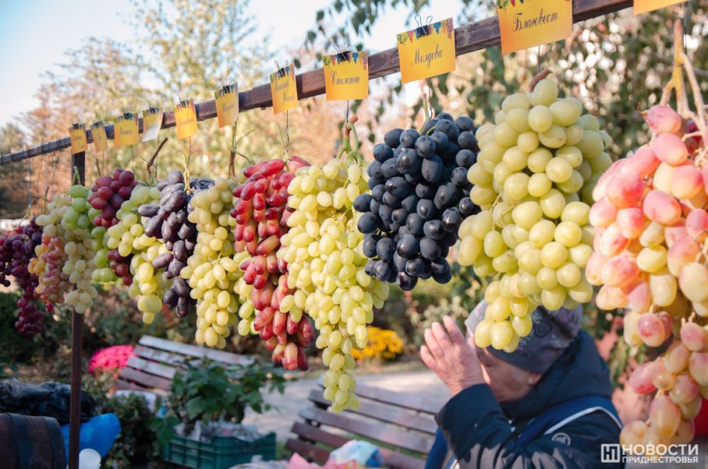 �� ������ �������� �������� � �������