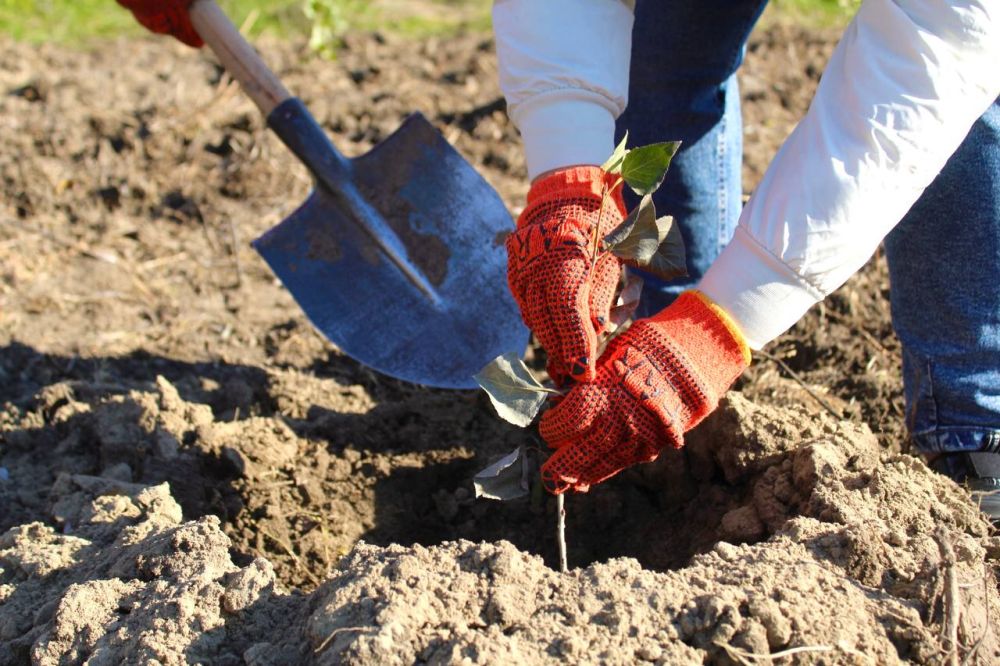 ������� ������������ �������������, ���������� ������, ����������� � �������� �������� 2 ������ �������� ���� ����������� � ���������� ������