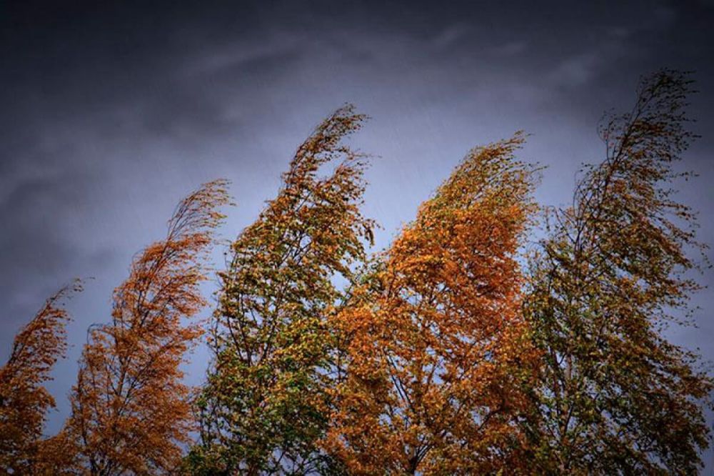 ������ ��������� ������ ����� �� 15-18 �/�