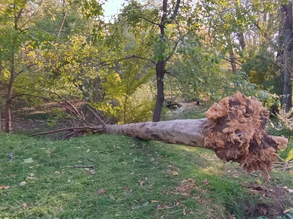 ��-�� �������� ����� � ���������� ������� � ������ ���