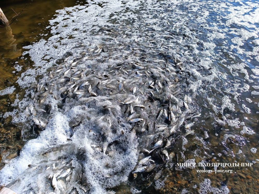 ����� 10 ���� ���� ��������� � ������� � ������, ��������, ������������ � ������������ �������������