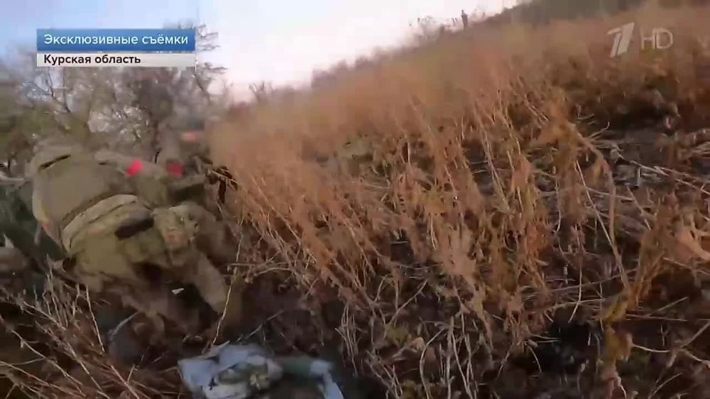 #���������� #����� #GoPro