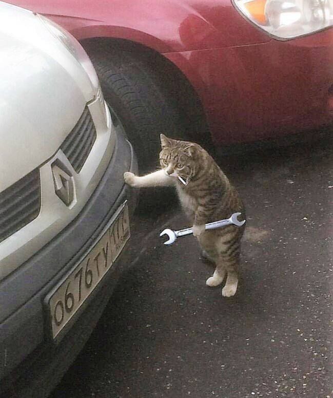 � 1 ������� � ������������� ��� ������ ������ ���� �� ������ ������