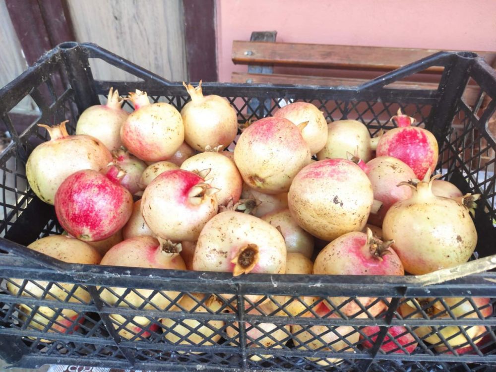 � ��������������� (������������� �����) �������� ������ ��������