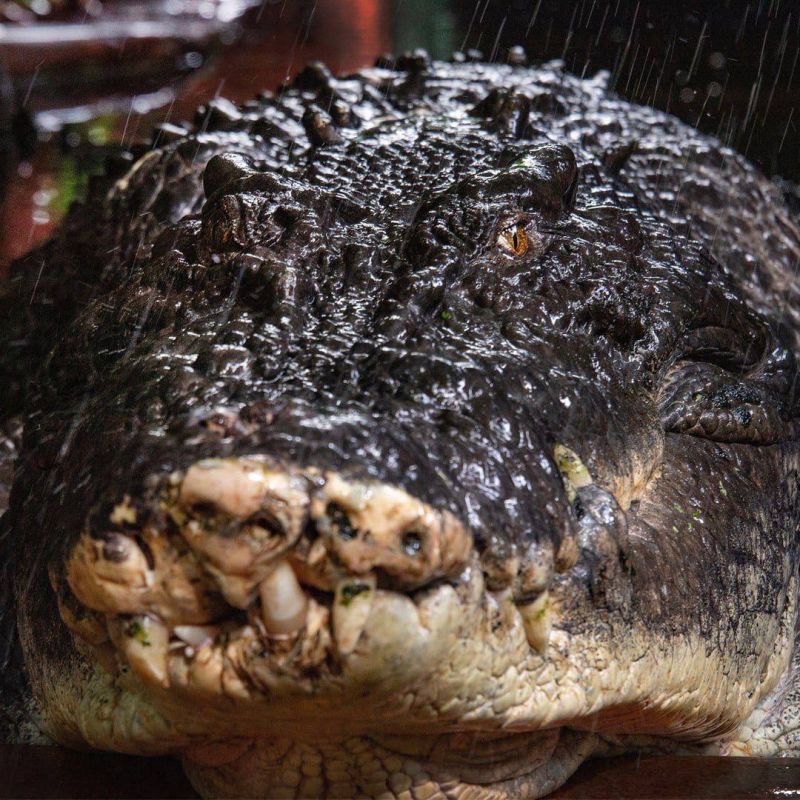 � ��������� ���� ���������� � ���� ��������