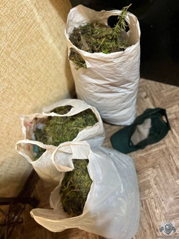 ����� ������ �� ���� �������