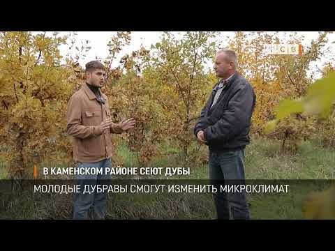 � ��������� ������ ���� ����