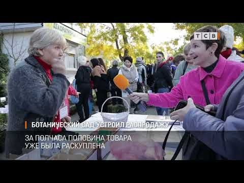 � ������� �������� � ������������ ���� ������ ��������-������� ��������