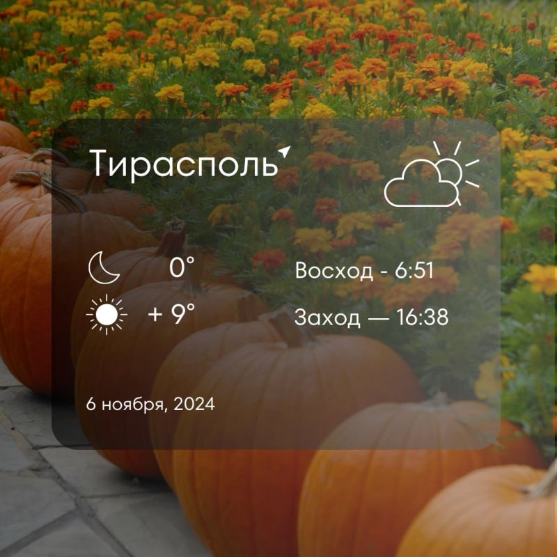 ������ �� �������