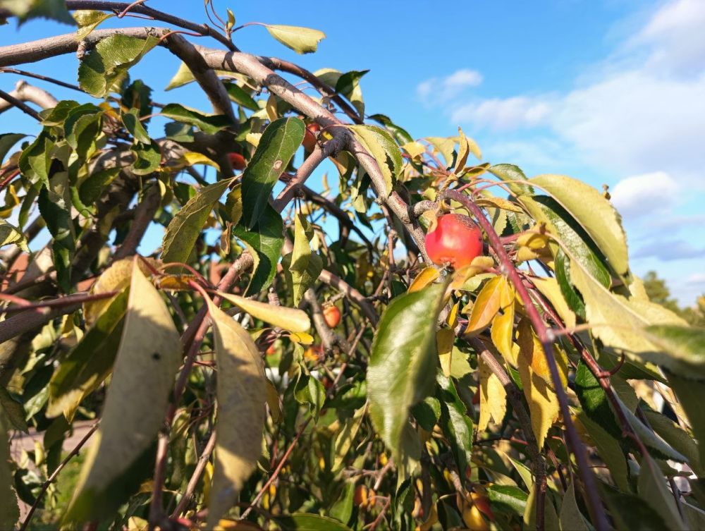 ��� �������� ��������� ����� �� ����� �� � ��, 7 ������ ��������� ���������� ����������, ��� �������