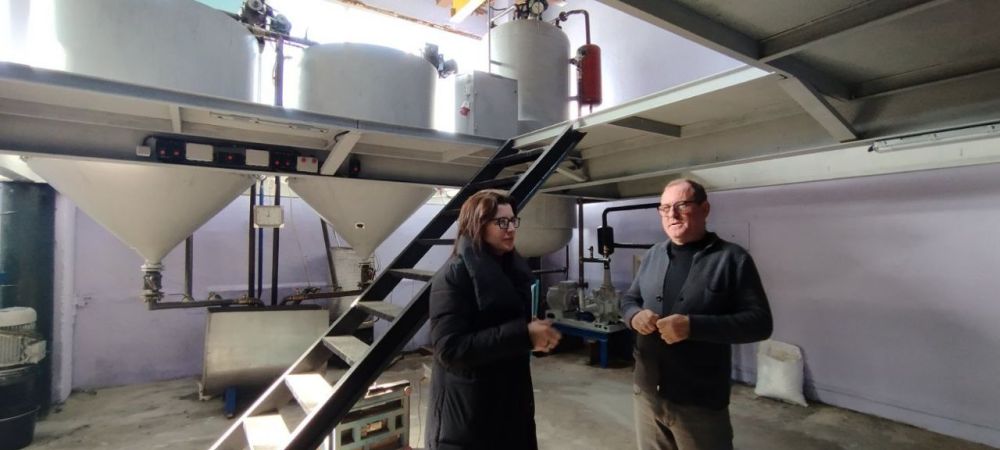 ���������, �����������, �����������