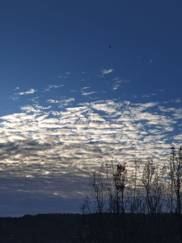 �������� ������ ������� � �������