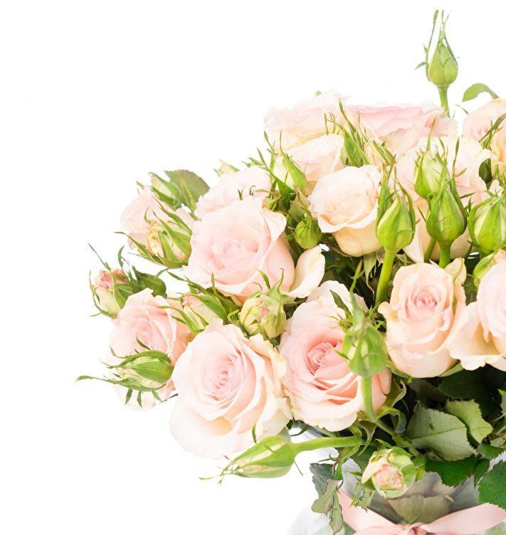 ������ ������� ���������� ����������