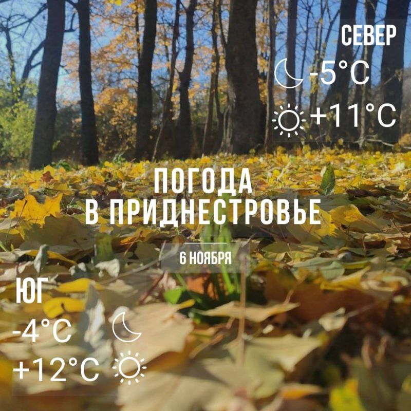 ���� � �� +12��. ��� �������