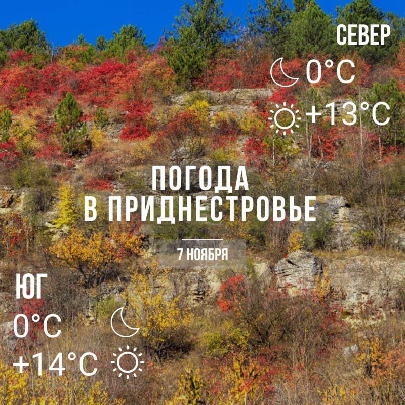 ���� � �� +14��. ��� �������