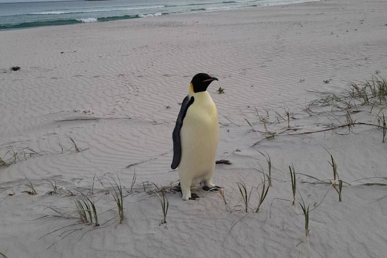 ������������� ������� ��������� ������� ������, �������� ����� ������� ����������� � 3300 ���������� �� ���������� � ���������